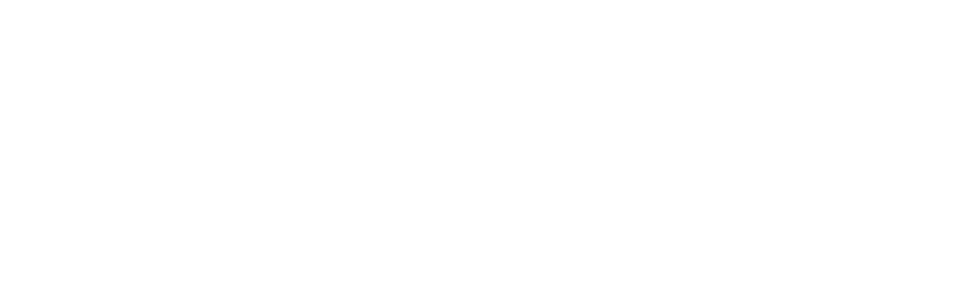 Tiger Consulting